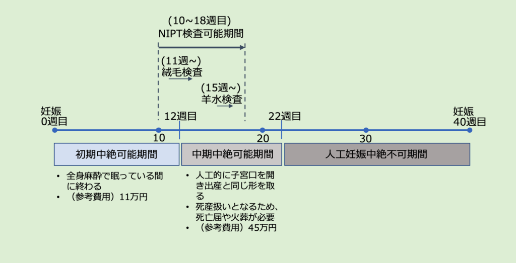 妊娠中の検査可能期間と中絶可能期間