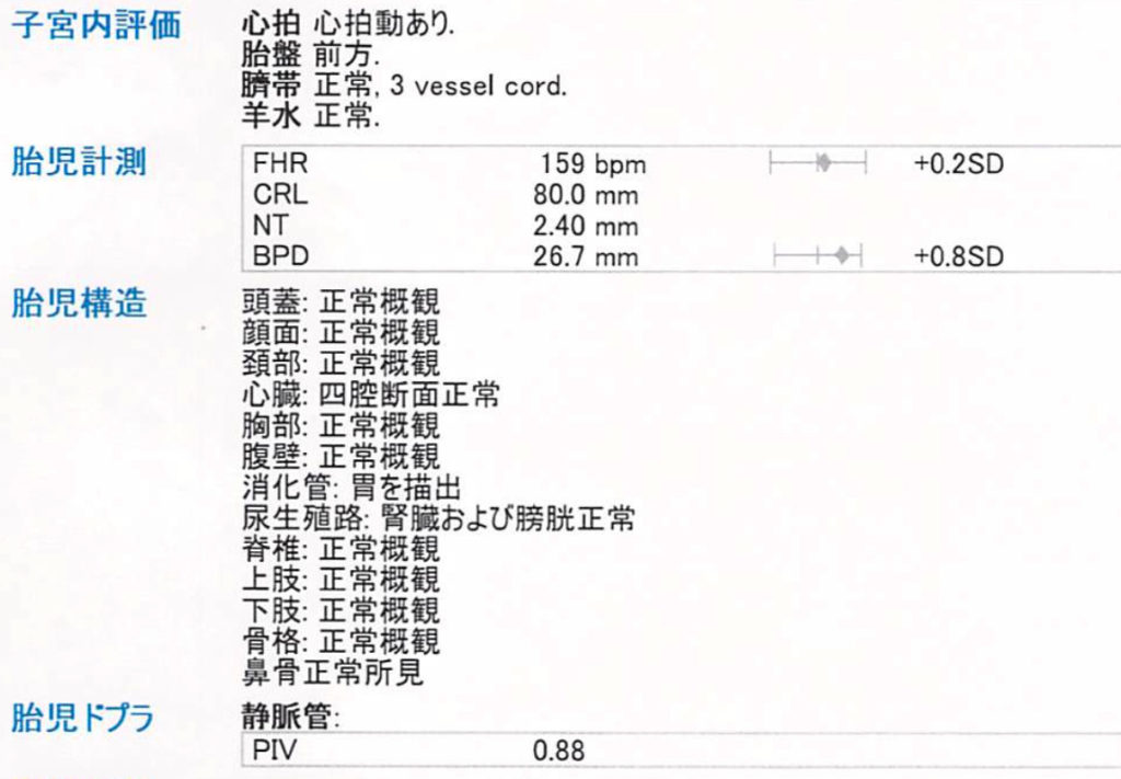 胎児超音波検査サンプル-1